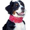 Aqua Coolkeeper Dierenriemen Aqua Coolkeeper Coolkeeper halsband S Red Western