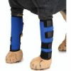 Pet Knie Pads Dog Leg Guards Pet Beschermende Gear Surgery Injury Sheath Grootte: S (HJ03 Classic Blue) Dierenverzorging