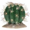 Terra Della Echinocactus groen M Aquarium-decoratie