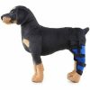 HJ19 Pet Surgery Rehabilitation Back Leg Protector Walking Aids Size: L(Blue Left Back Leg) Dierenverzorging