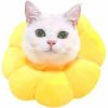 Dierenriemen 2 PCS Pet Supplies Cat Headgear Cat Toy Anti Bite Ring Specificatie: L (Golden Yellow)