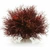 biOrb BiOrb zeelelie donkerrood aquarium decoratie Aquarium-decoratie