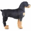 HJ19 Pet Surgery Rehabilitation Back Leg Protector Walking Aids Size: S(Black Right Back Leg) Dierenverzorging